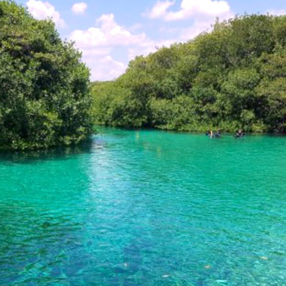 Casa Cenote (Cenote Manati)